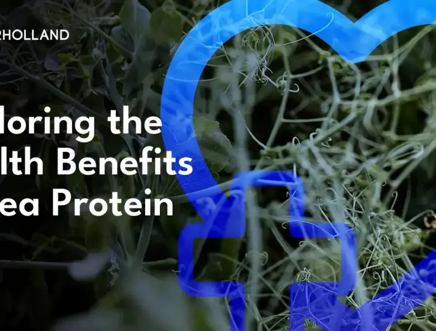 Exploring the Health Benefits of Pea Protein  
