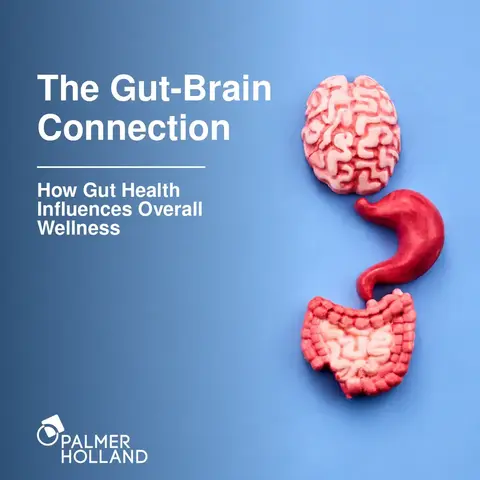 The Gut-Brain Connection: How Gut Health Influences Overall Wellness
