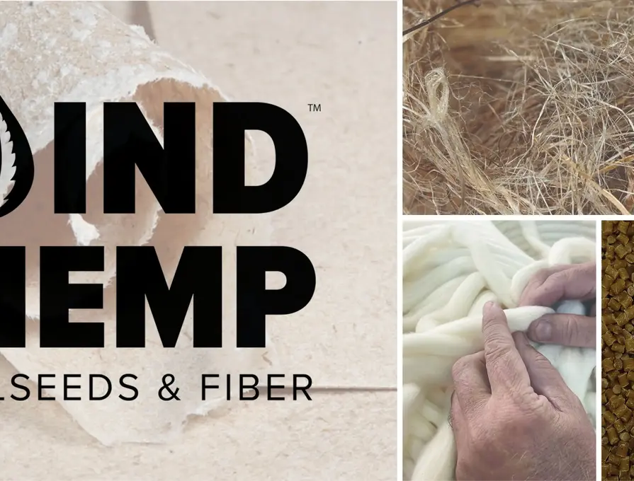 Palmer Holland Partners With IND HEMP For Compounding Industry
