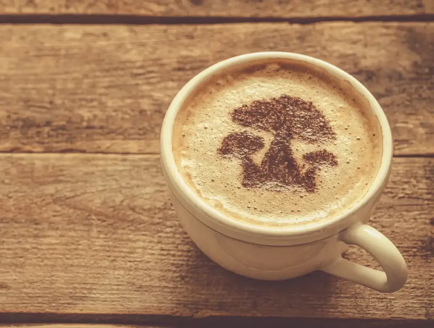Incorporating Functional Mushrooms Into Everyday Life