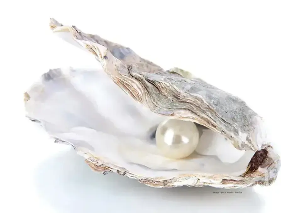 Oyster with pearl