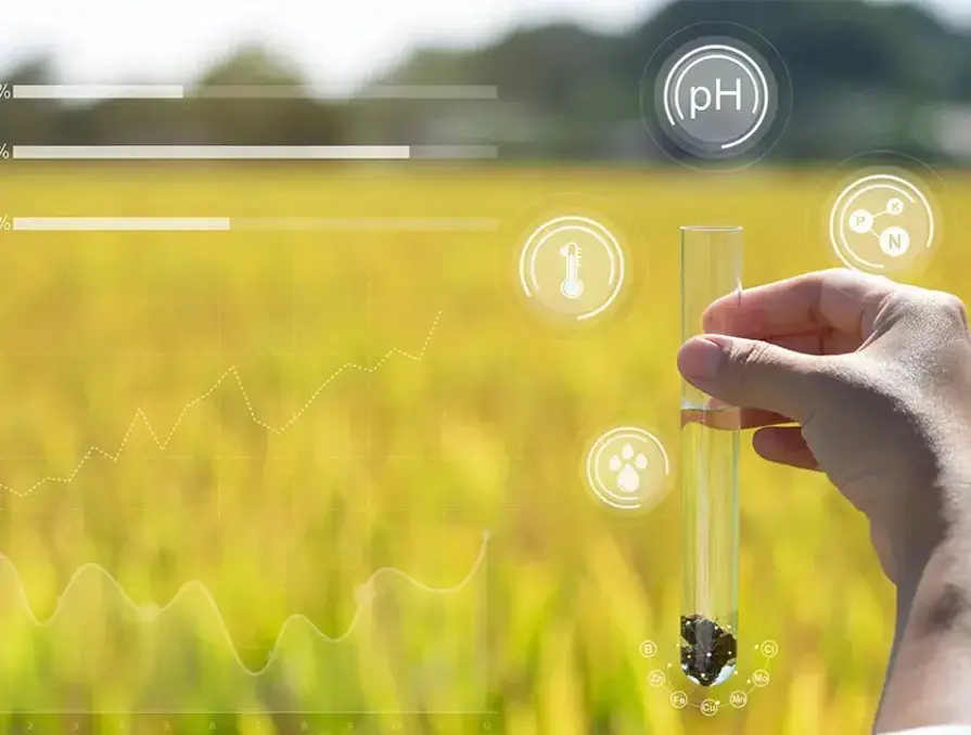 The Role of Agrochemical Technologies in Modern Agriculture