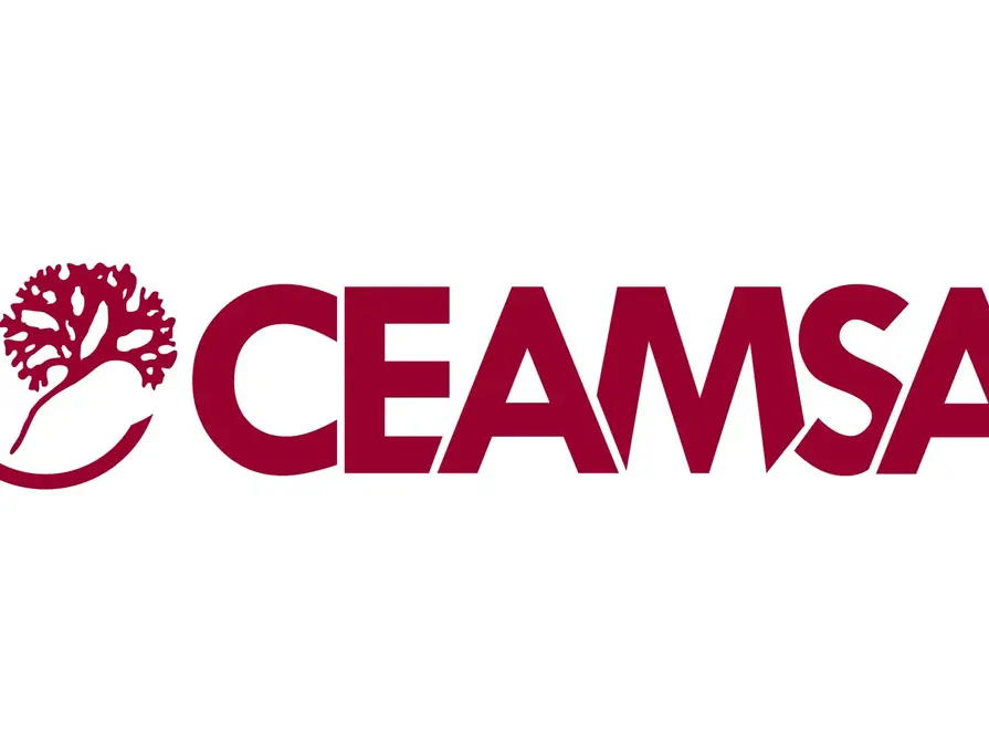 red ceamsa logo