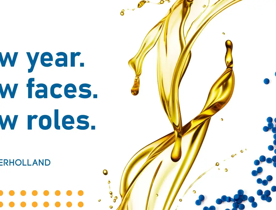 Palmer Holland Expands Roles And Positions Of Business Teams In New Year