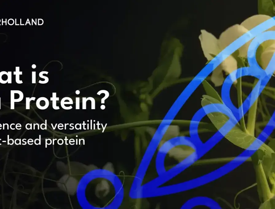 What is Pea Protein? The Science and Versatility of Pea Protein