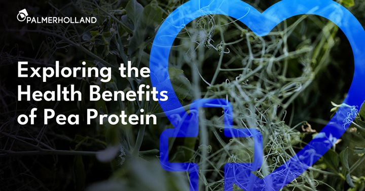 
 As a versatile addition to numerous food products, pea protein boosts nutritional value and accommodates a wide range of dietary preferences. 